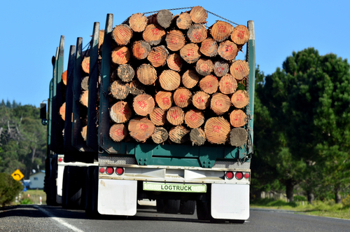 TIMBER TRANSPORT SERVICES