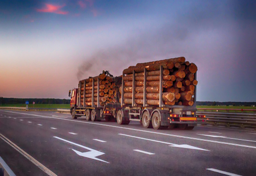 Timber Transportation By Truck